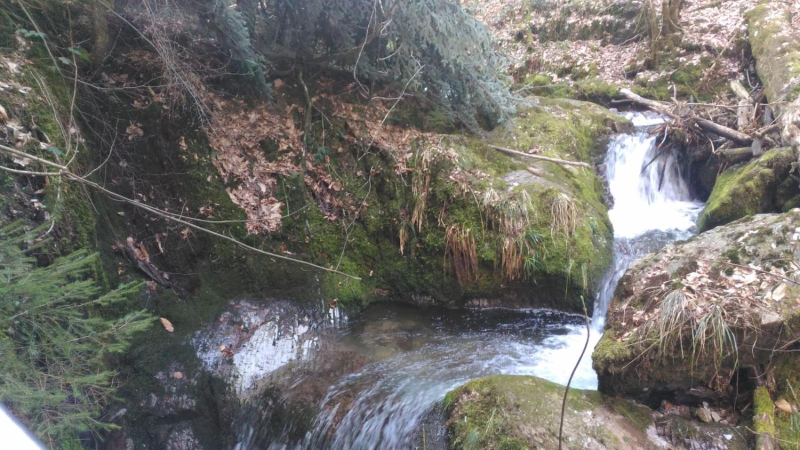 شقة Wickys Igelnest Malsch  المظهر الخارجي الصورة