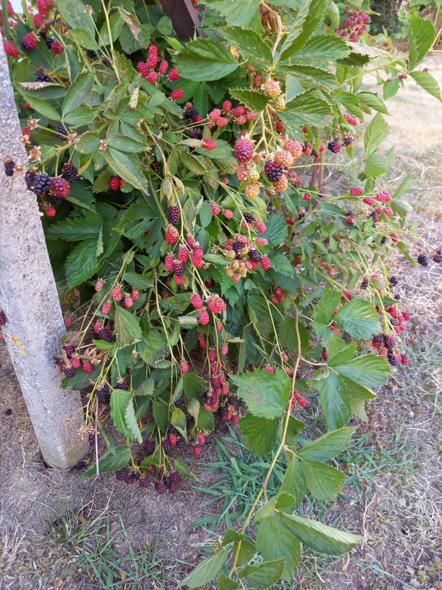 شقة Wickys Igelnest Malsch  المظهر الخارجي الصورة
